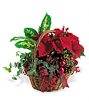 Holiday Planter Basket